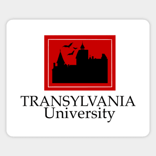 Transylvania University Magnet